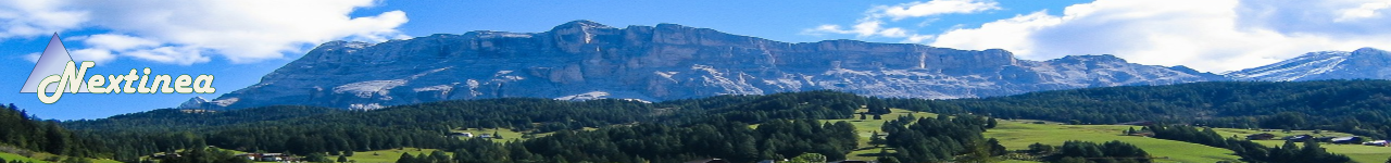 Nextinea